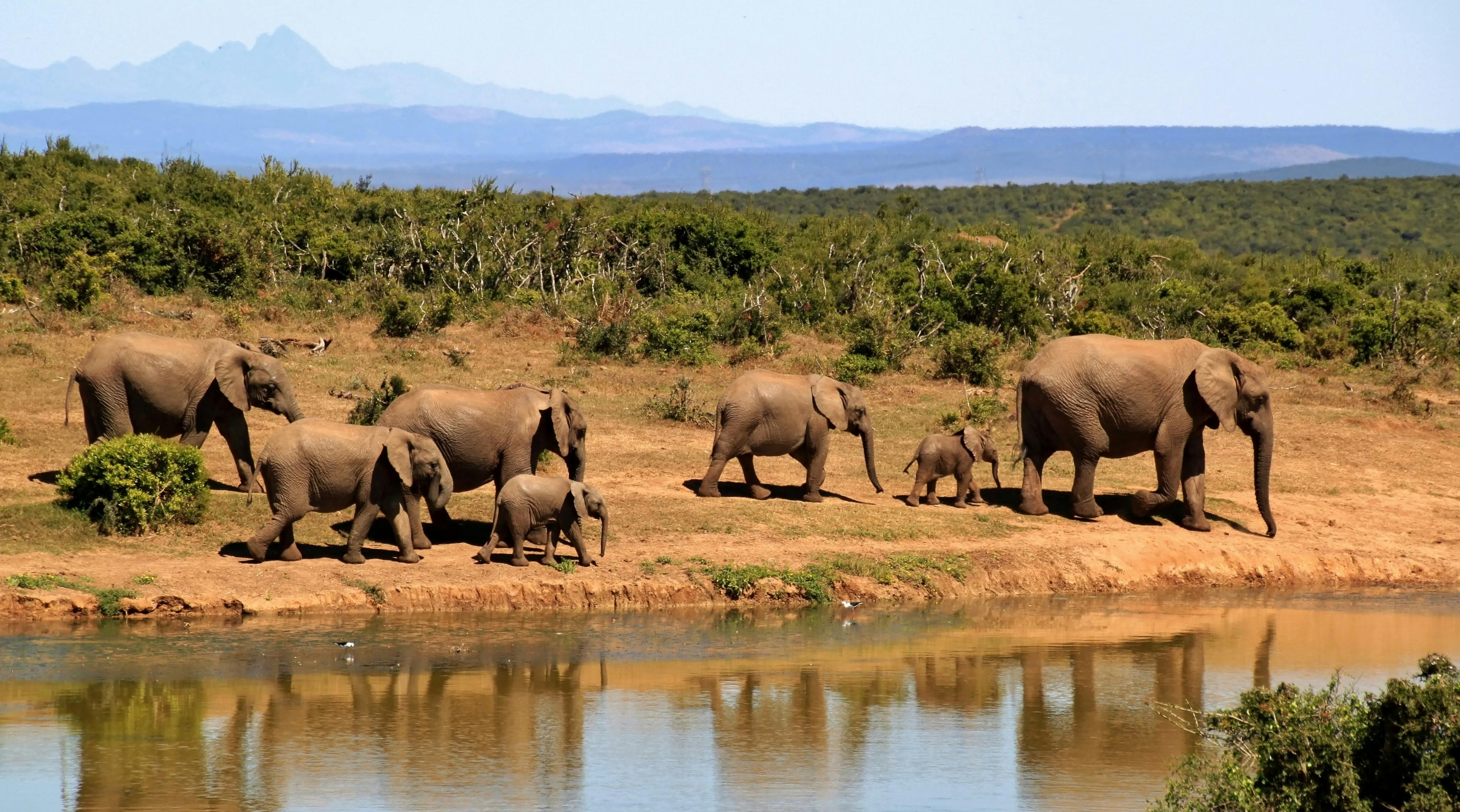 Africa destination placeholder
