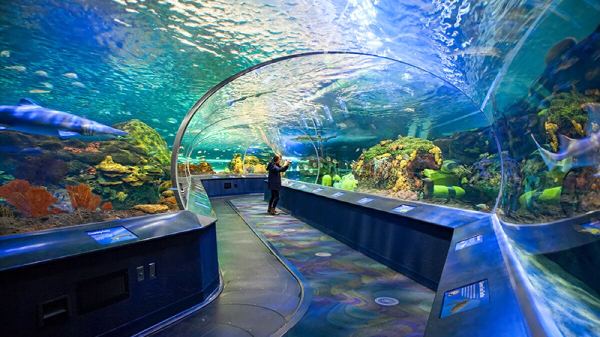 Ripley's Aquarium Canada Toronto