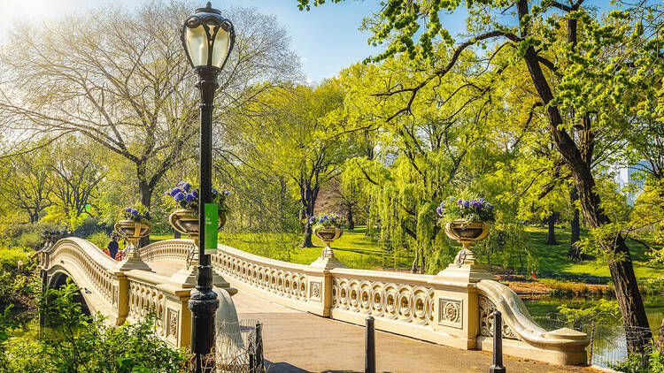 Central Park New York