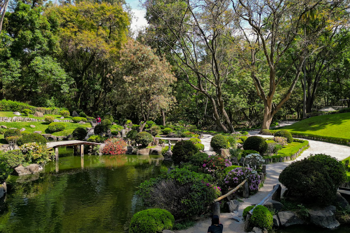 Bosque Los Colomos and calmer green spaces in Guadalajara