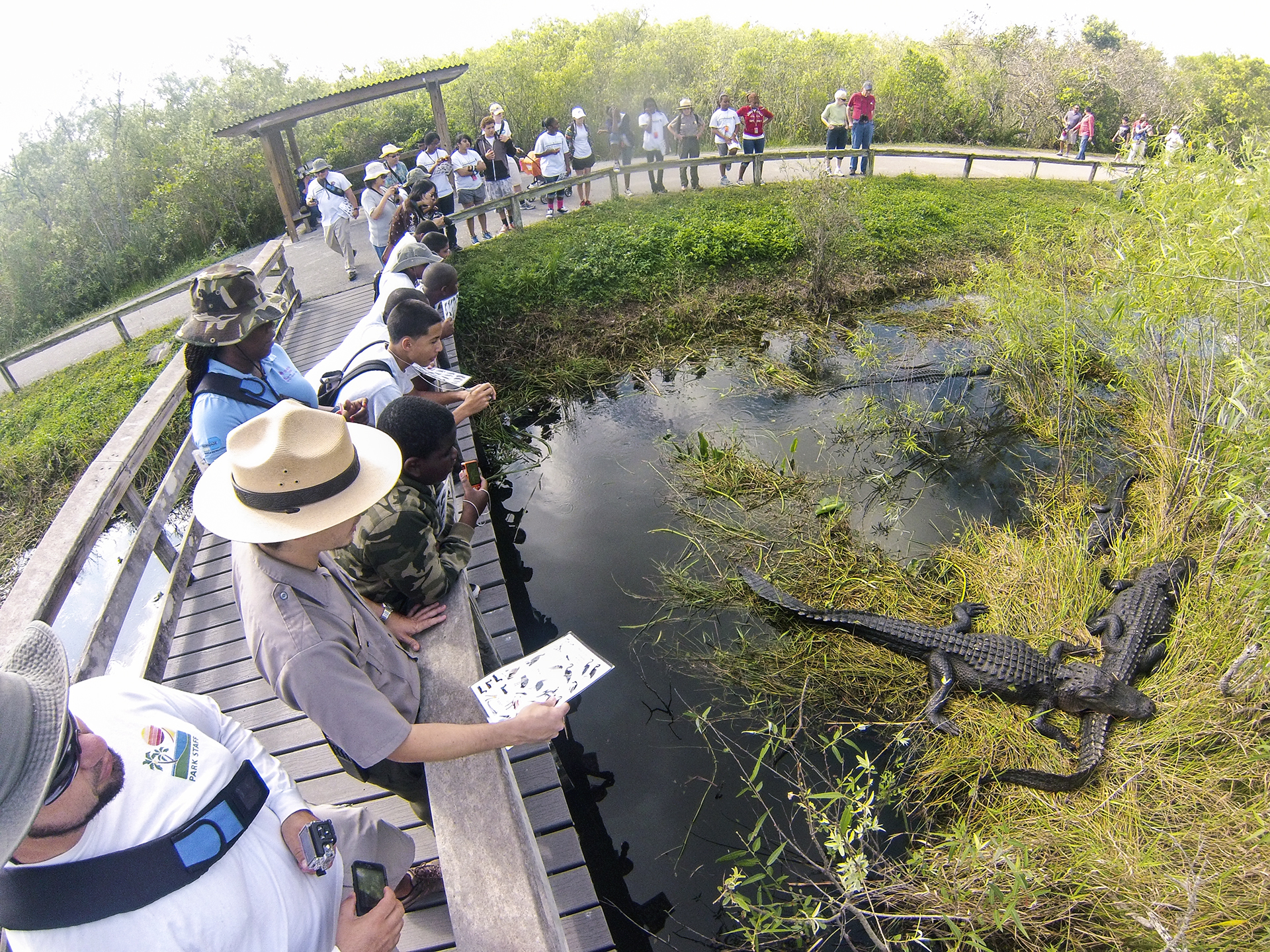 Everglades National Park Miami